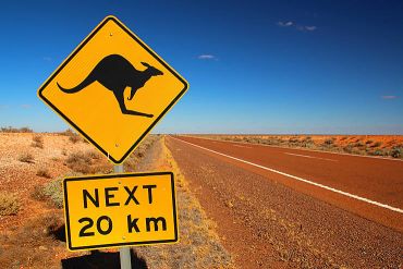 Quokka in Australia, Квокка в Австралии